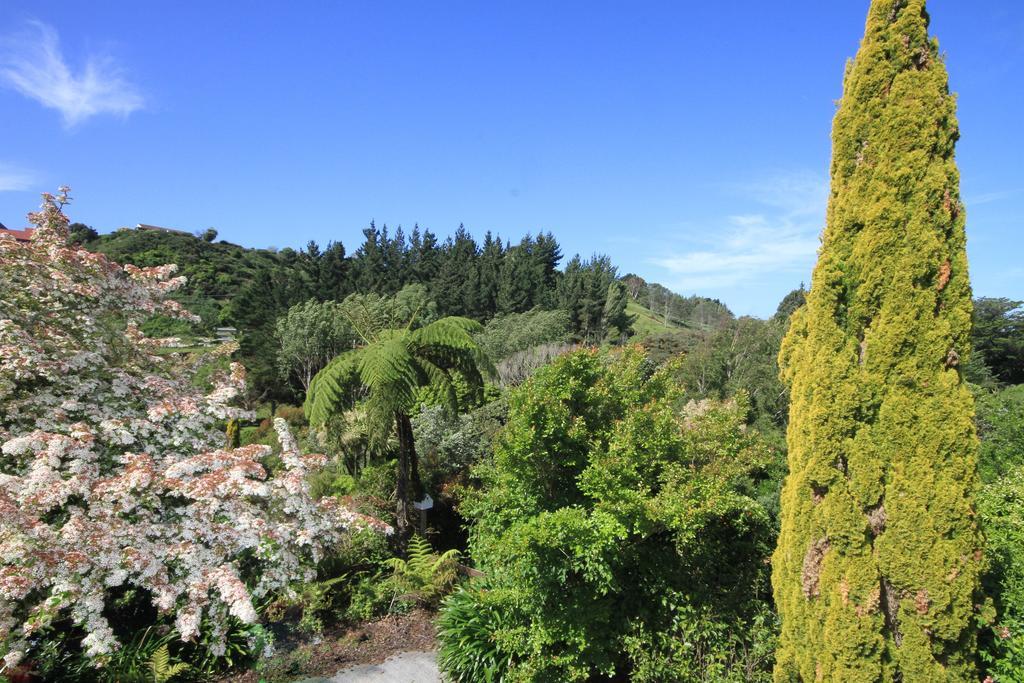 ワンガヌイ Durie Vale Retreatヴィラ エクステリア 写真